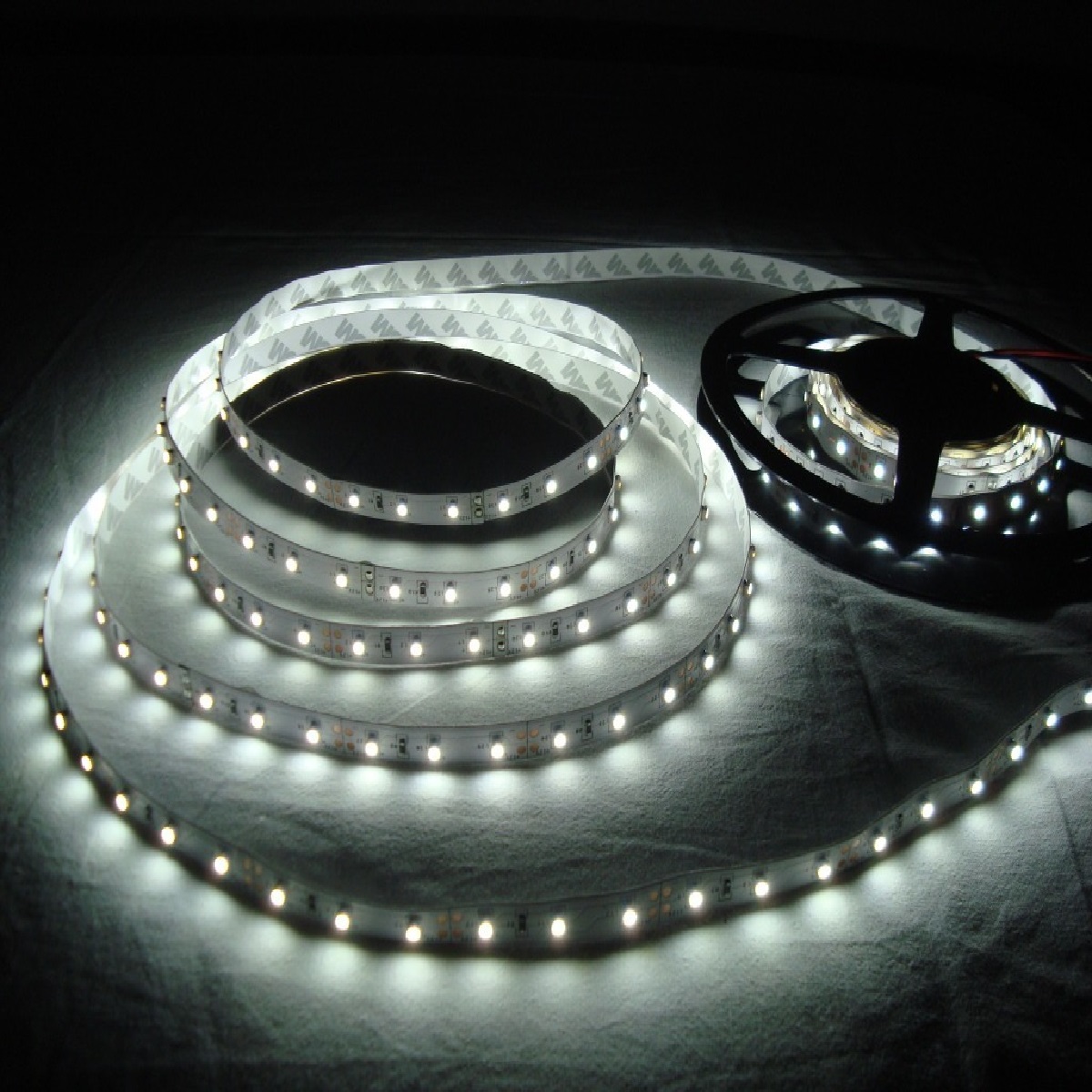 FITA LED 2835 6000?K 60LED/MT 4,8W/MT 12V IP20 - GAYA