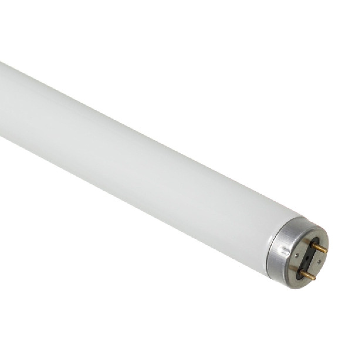 LAMPADA FLUORESCENTE  36W  120CM T8 6400K TASCHIBRA