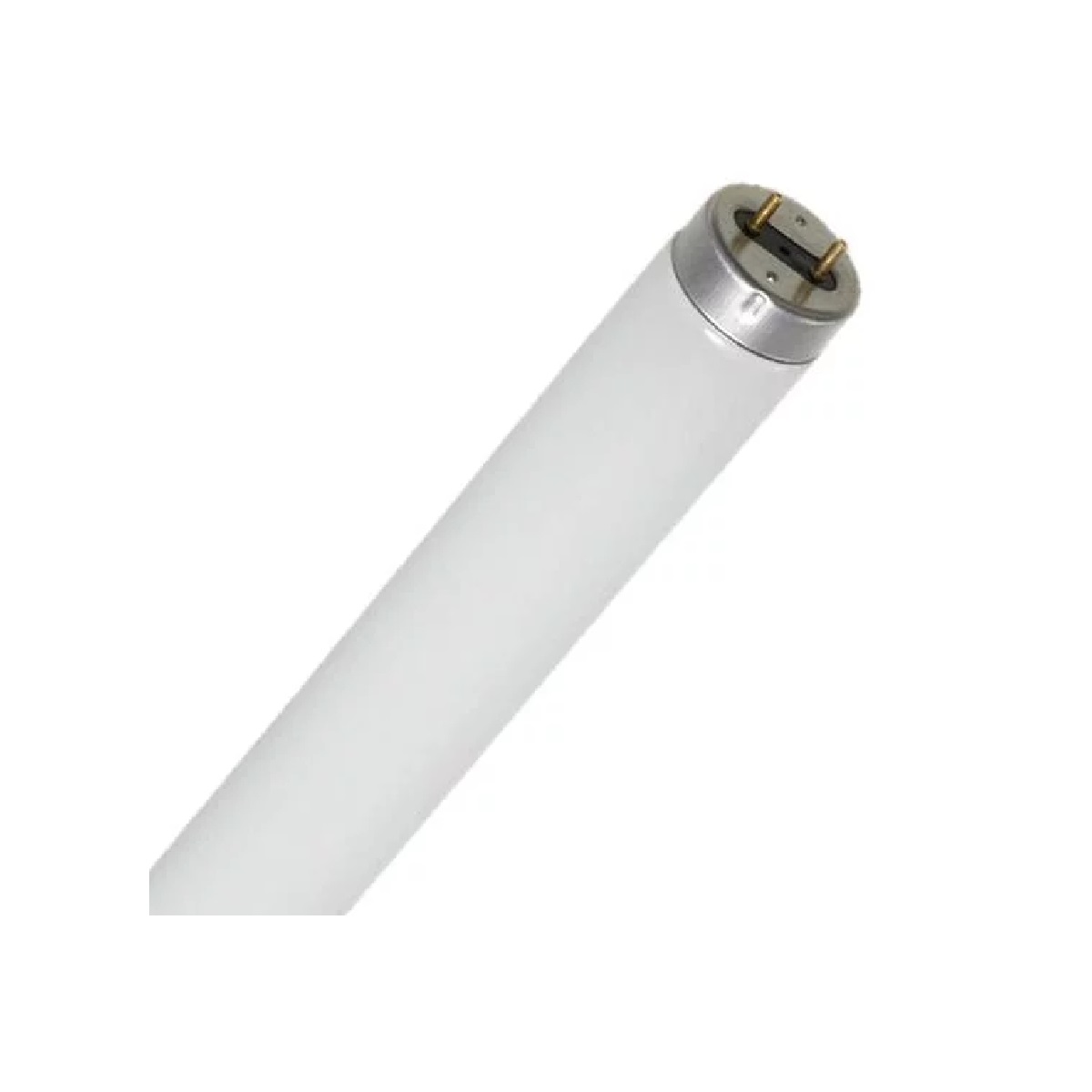 LAMPFLUOR 15W   43CM  T8 5000K PHILIPS
